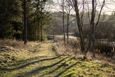 Doğal yaz ormanı çalılar, ağaç gövdeleri ve yerde yosunlar ile doludur. Doğa, kuşlar ve hayvanlar için saklıdır.