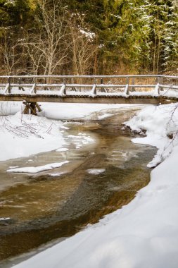 Buz, kar ve buzun altındaki kahverengi suyla ormandaki donmuş nehir manzarası. Kırsal kesimde kış yağmuru