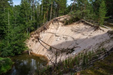 Letonya 'daki Gauja ormanının kıyısındaki kumtaşı kayalıkları.