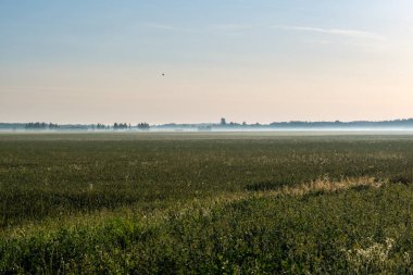 Yeşil çayır ve mavi gökyüzü olan kır manzarası. Basit kırsal