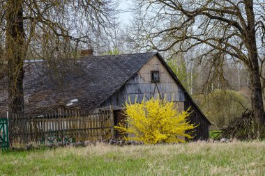 Yazın bahçe bahçesinde eski binalar, çitlerle ve çalılarla süslemeler.