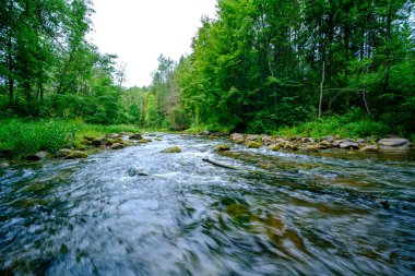 Yaz mevsiminde, taşlı ve alçak sulu yeşil ormanlık bir nehir deresi.