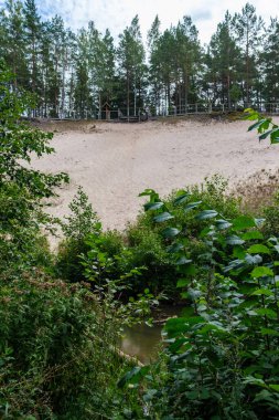 Letonya 'daki Gauja ormanının kıyısındaki kumtaşı kayalıkları.