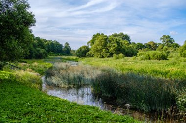 Yeşil yapraklı ormandaki manzaralı yaz nehri manzarası ve akarsudaki kum ve kayalarla alçak su.