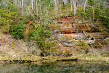Letonya 'daki Gauja ormanının kıyısındaki kumtaşı kayalıkları.