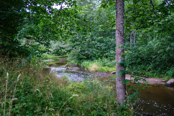Langsamer Waldfluss Sommergrünen Wäldern Mit Felsen Bach Und Kleinen Wasserfällen — Stockfoto