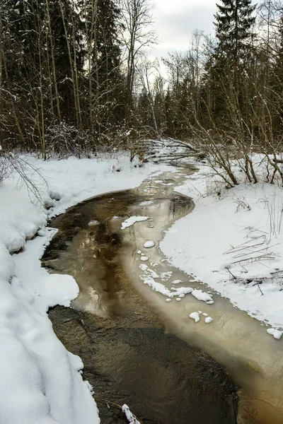 氷と雪と氷の下の茶色の水で森の中の凍った川の景色 田舎の冬の墓地 — ストック写真
