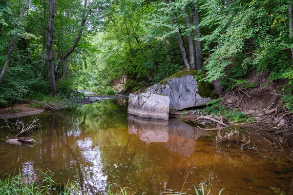 夏季森林河流缓慢 绿树成荫 溪流中岩石丛生 瀑布小 — 图库照片