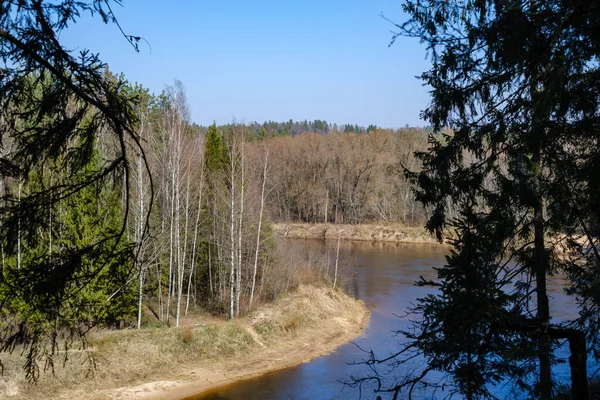 Сельская Река Леса Голубой Водой Скалами Берегу Весенней Растительностью — стоковое фото