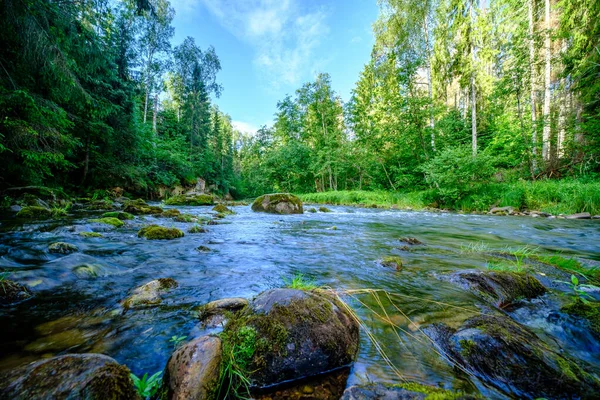 Malebný Letní Pohled Řeku Lese Zeleným Listovníkem Nízkou Vodou Skalami — Stock fotografie