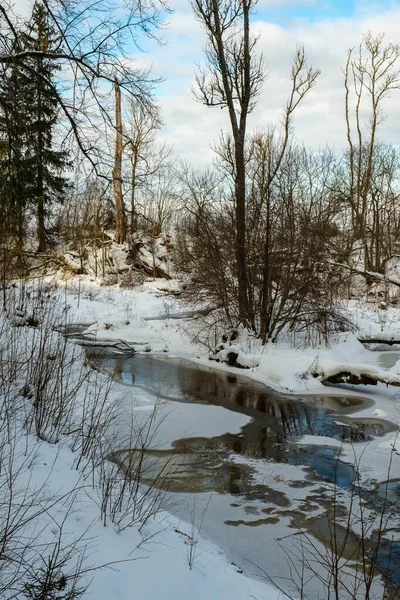 Bevroren Uitzicht Rivier Het Bos Met Ijs Sneeuw Bruin Water — Stockfoto