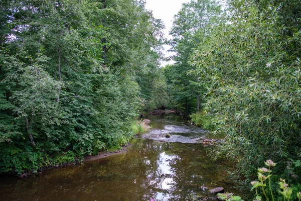 Río Bosque Lento Bosques Verdes Verano Con Rocas Arroyo Pequeñas —  Fotos de Stock