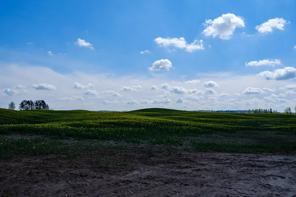 Landschaft Mit Grünen Wiesen Und Blauem Himmel Darüber Einfache Landschaft — Stockfoto