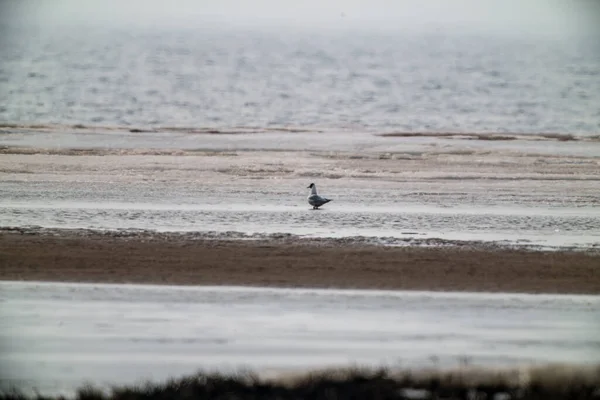 Leeg Zandstrand Aan Zee Met Rotsen Blauwe Lucht Erboven Stille — Stockfoto