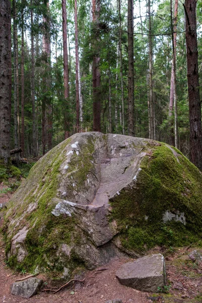 Grote Stenen Het Wild Bos Met Mos Scheuren Uit Tijd — Stockfoto