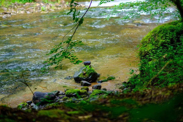 Kis Ország Folyó Patak Nyáron Zöld Erdő Sziklák Alacsony Víz — Stock Fotó