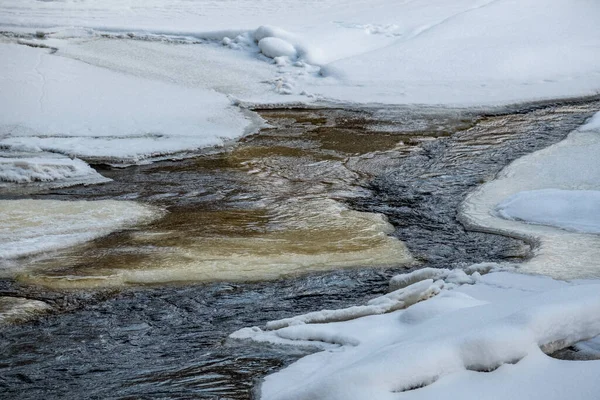 Frozen River View Forest Ice Snow Brown Water Ice Winter — Stock Photo, Image