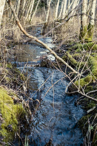 Сельская Река Леса Голубой Водой Скалами Берегу Весенней Растительностью — стоковое фото