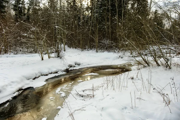 Vista Congelada Del Río Bosque Con Hielo Nieve Agua Marrón —  Fotos de Stock