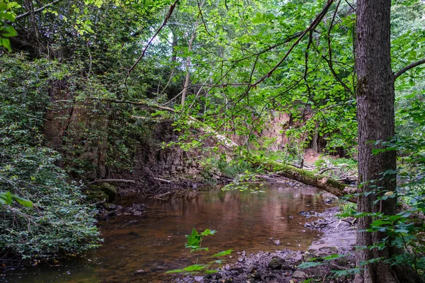 Langsamer Waldfluss Sommergrünen Wäldern Mit Felsen Bach Und Kleinen Wasserfällen — Stockfoto