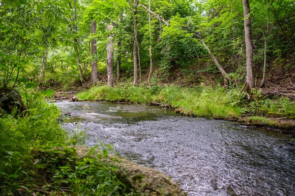 Rio Floresta Lenta Verão Bosques Verdes Com Rochas Riacho Pequenas — Fotografia de Stock