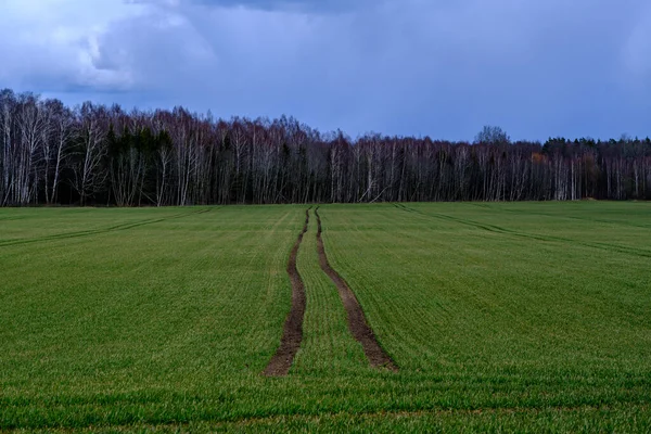 Krajobraz Wiejski Zieloną Łąką Błękitnym Niebem Powyżej Prosta Wieś — Zdjęcie stockowe