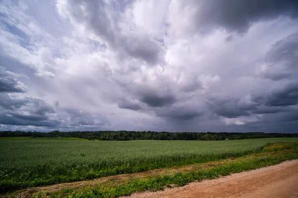 Paisagem Rural Com Prado Verde Céu Azul Acima Zona Rural — Fotografia de Stock