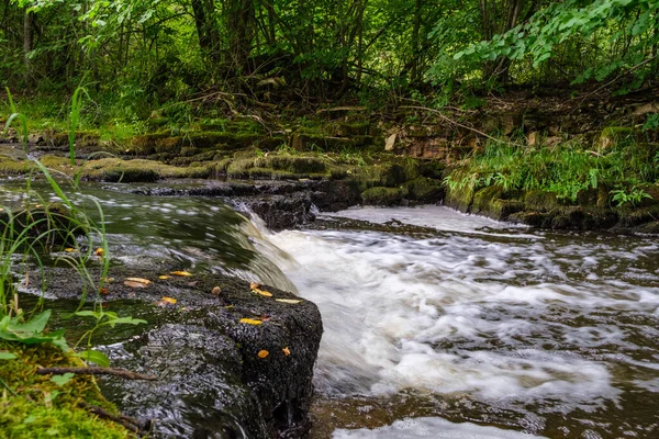 Langzame Bosrivier Zomer Groene Bossen Met Rotsen Beekjes Kleine Watervallen — Stockfoto