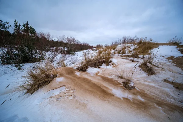 Plage Hiver Glacée Près Mer Avec Sable Gelé Blocs Glace — Photo