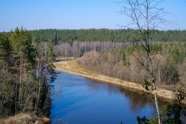 Rivière Forêt Campagne Avec Eau Bleue Rochers Sur Rivage Avec — Photo