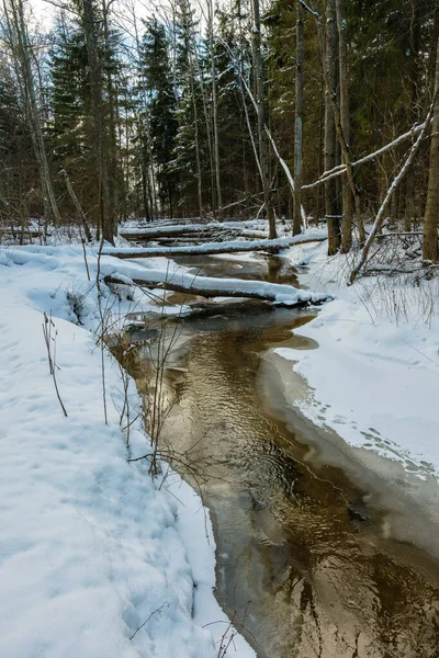 氷と雪と氷の下の茶色の水で森の中の凍った川の景色 田舎の冬の墓地 — ストック写真