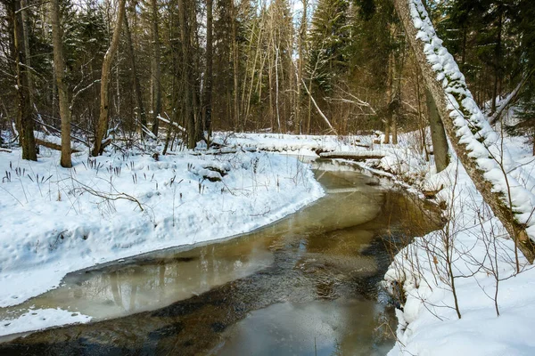 Gefrorener Flussblick Wald Mit Eis Und Schnee Und Braunem Wasser — Stockfoto