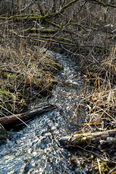 Las Wiejski Rzeka Błękitną Wodą Skałami Brzegu Roślinnością Źródlaną — Zdjęcie stockowe