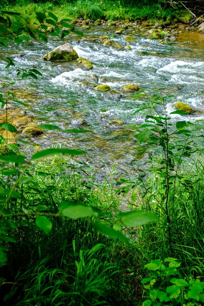 Yaz Mevsiminde Taşlı Alçak Sulu Yeşil Ormanlık Bir Nehir Deresi — Stok fotoğraf