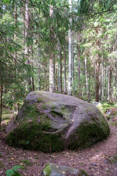 Piedras Grandes Bosque Salvaje Con Musgo Grietas Del Tiempo — Foto de Stock