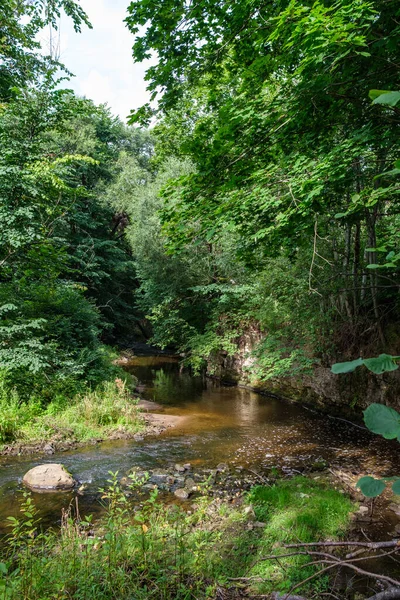 Rio Floresta Lenta Verão Bosques Verdes Com Rochas Riacho Pequenas — Fotografia de Stock