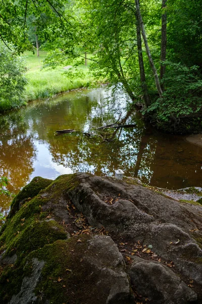 Powolny Las Rzeki Lecie Zielone Lasy Skałami Strumieniu Małych Wodospadów — Zdjęcie stockowe