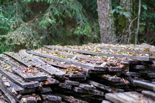 Pile Vieux Bois Rond Dans Scène Forêt Rurale Avec Mousse — Photo