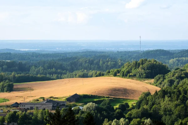 Skogsutsikt Uppifrån Med Dimma Och Dimma Fjärran Horisont Sommarlandskapet — Stockfoto