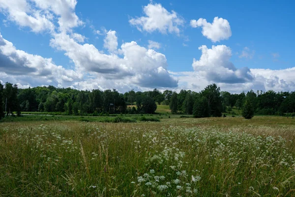 緑の草原と青空が広がる田園風景 単純な田舎だ — ストック写真