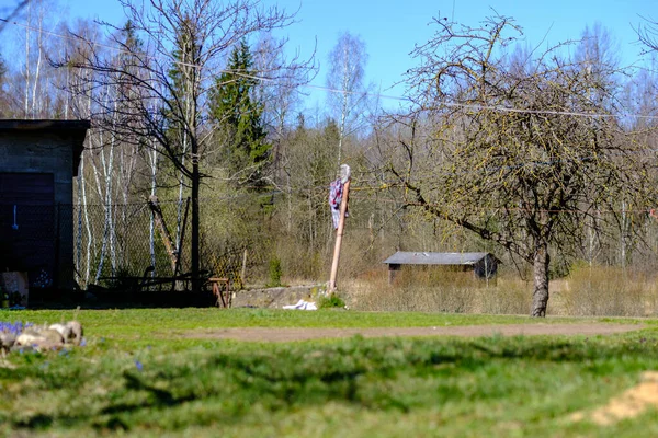 Maison Campagne Jardin Arrière Cour Été Avec Bâtiments Anciens Décorations — Photo