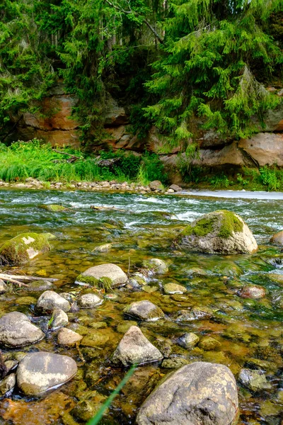 Malá Země Řeka Potok Létě Zelený Les Kameny Nízkou Vodou — Stock fotografie