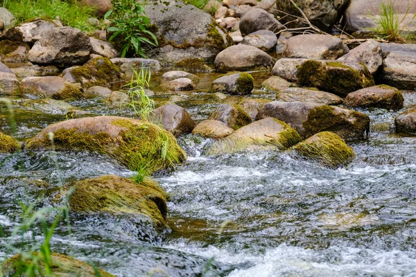 Mały Strumień Rzeki Kraju Lecie Zielony Las Skałami Niską Wodą — Zdjęcie stockowe