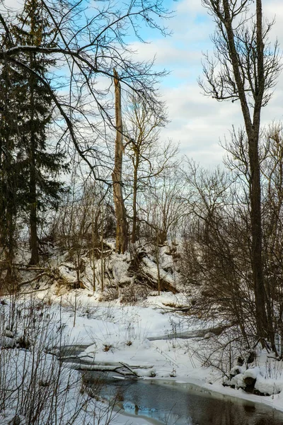 Gefrorener Flussblick Wald Mit Eis Und Schnee Und Braunem Wasser — Stockfoto