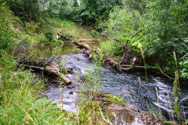 Langsamer Waldfluss Sommergrünen Wäldern Mit Felsen Bach Und Kleinen Wasserfällen — Stockfoto