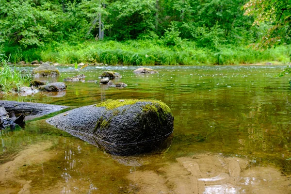 Piccolo Ruscello Fluviale Campagna Estate Foresta Verde Con Rocce Acqua — Foto Stock