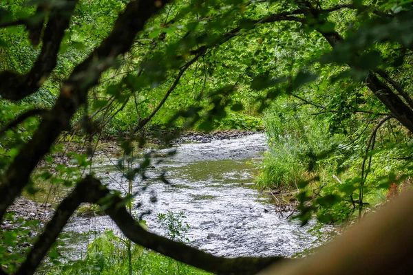 Långsam Skogsflod Sommargröna Skogar Med Klippor Bäcken Och Små Vattenfall — Stockfoto