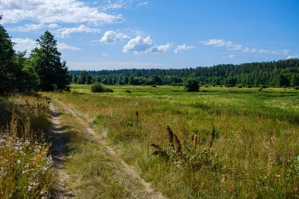 Landschap Met Groene Weide Blauwe Lucht Erboven Eenvoudig Platteland — Stockfoto