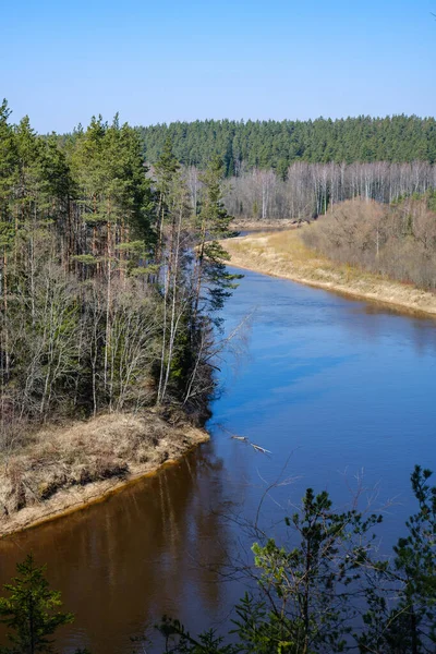 Landsbygd Skog Flod Med Blått Vatten Och Stenar Stranden Med — Stockfoto