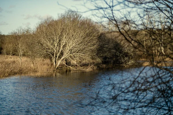 Fiume Foresta Campagna Con Acqua Blu Rocce Sulla Riva Con — Foto Stock